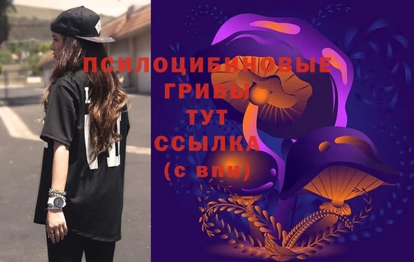 MDMA Беломорск