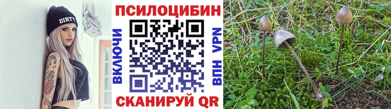 Псилоцибиновые грибы MAGIC MUSHROOMS  как найти   Валуйки 