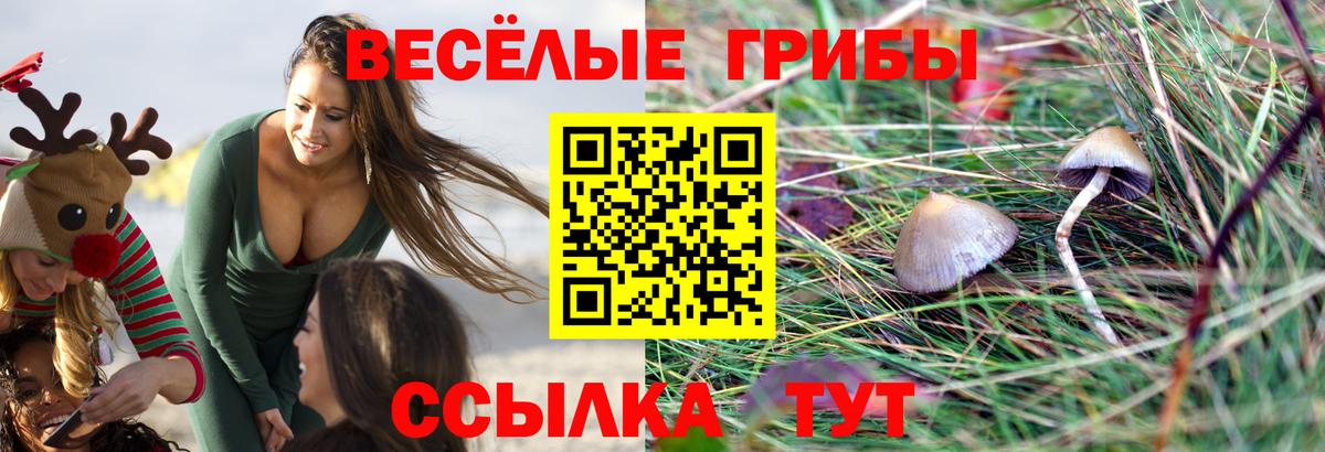 Валуйки  Псилоцибиновые грибы Magic Shrooms  Вход с VPN 